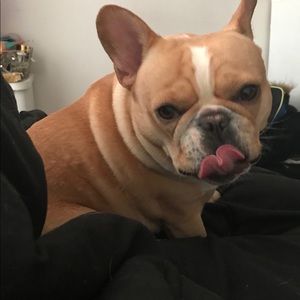 Meet your Posher, Dee